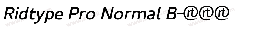 Ridtype Pro Normal B字体转换